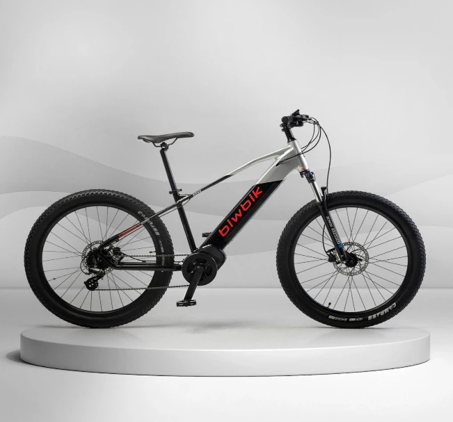 E-bici5